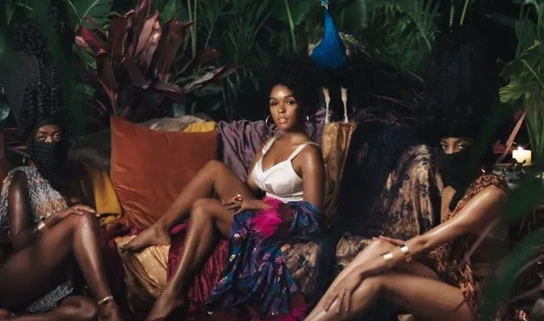 Model Video or Artist